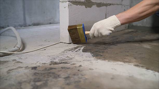 SJ Waterproofing Pros Crawl Space Encapsulation coverage map for Lyons, MI and surrounding area